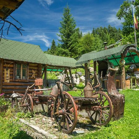 Casa Rustik Bucovina Villa Fundu Moldovei Kültér fotó